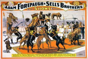 DOGS CIRCUS SHOW STUNTS ACROBATICS DANCING VINTAGE POSTER REPRO - Picture 1 of 3