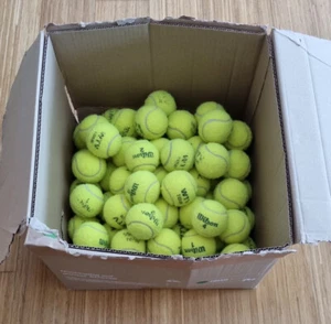Tennisbälle 70 Stück Wilson WTV Tour guter Zustand 2-3 Monate alt - Bild 1 von 1