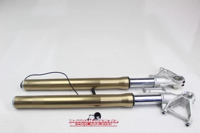 15-18 BMW S1000RR OEM HORQUILLAS DELANTERAS RECTAS JUEGO SUSPENSIÓN AMORTIGUADOR PAR E7 Foto 1 de 4