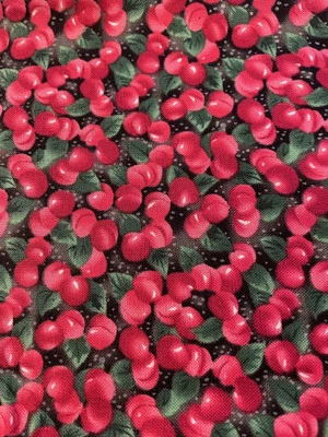 Fruit Cobbler Elaine Waldschmitt Northcott 棉绗缝面料 1/2 码 — 第 1/4 张图片