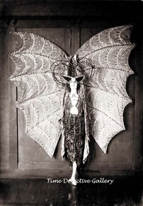 Woman in a Bizarre Bat Costume - 1923 - Vintage Photo Print - Picture 1 of 1