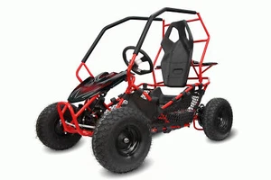 Nitro Motors Eco Gokart RACER 1000W 36V 2-Stufen Drossel Kinderbuggy Kinder-Quad - Bild 1 von 10