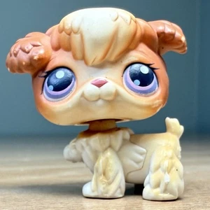 Vintage Hasbro Littlest Pet Shop LPS #37 Poodle Puppy Dog Brown Purple Eyes 2004 - Picture 1 of 8
