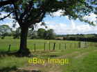 Photo 6x4 Fields towards Sole Beck Healey/SE1880 Farmland between Ilton  c2006