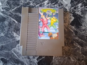 Battletoads & Double Dragon Nintendo NES Authentic Tested Contacts Cleaned 