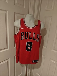 Nike Chicago Bulls Zach Lavine #8 Icon Edition Swingman Trikot Gr. L DN2000-657 - Bild 1 von 24
