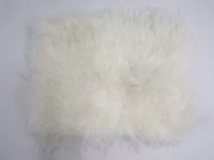 Pottery Barn Teen Mongolian Fur Pillow Cover White 12"x16" #9521 - Picture 1 of 3