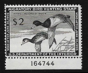 RW21 F-VF MNH OG-PLATE# SINGLE 1954 FEDERAL DUCK HUNTING STAMP-RING (REM RW21 B) - Picture 1 of 1