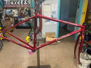 Specilized Crossroads Project Bike ( Frame & Fork) - Picture 1 of 10