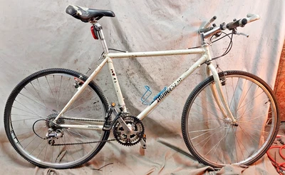 Bicicleta MTB Bridgestone MB-0 1993 cremallera 18,5" grande rígida rígida cromoly :) Foto 1 de 4