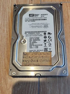 Western Digital RE3 250 GB disco rigido interno 7200 RPM 3,5" (WD2502ABYS) - Foto 1 di 2
