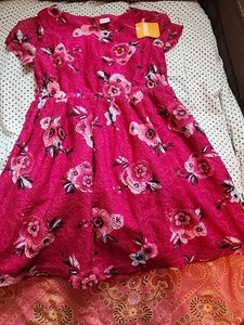 NEW Gymboree Dress Size 5 Nwt - Picture 1 of 2