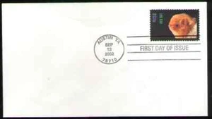 US. 3661. 37c. Red Bat, American Bars Issue. Blank FDC, MNH. 2002 - Picture 1 of 1