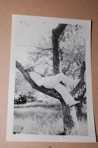 VINTAGE RPPC FOTOGRAFIE MANN ENTSPANNT IM BAUM ca 1928 - Bild 1 von 4