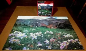 Milton Bradley puzzle 1000 pezzi Yankee Boy Basin Colorado completo - Foto 1 di 8