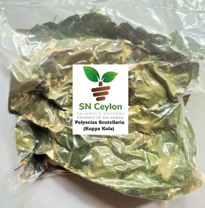 ShDried Pflanze Koppa Kola Polyscias scutellaria Mangkokan 250g-450g - Bild 1 von 10