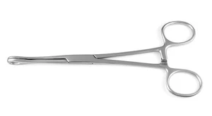 Mini Schwamm Förster Pinzette 6,5 Zoll SCHLITZ Piercing - Bild 1 von 2