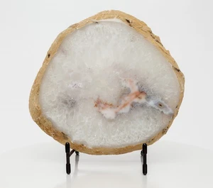 Agate Geode Slab Slice Natural Polished Quartz Decor 9.17” 4.4 lbs H1022 - Picture 1 of 13