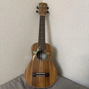 Fancy Ukulele Mahogany 4-String Rosewood Fretboard Abalone Inlay + Book - Picture 1 of 7