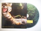 GREAT MOUNTAIN FIRE : CANOPY ▓ CD ALBUM PORT GRATUIT ▓