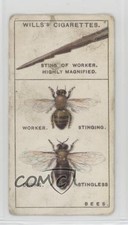 1922 Wills Do You Know Tobacco Why Bees Sting and why the Hum? #5 1i3