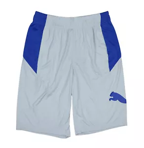Pantalones Cortos Puma Drycell Colorblock 10" Entrepierna Malla Atlética Para Hombre Nuevos con Etiquetas Gris Platino - Imagen 1 de 2