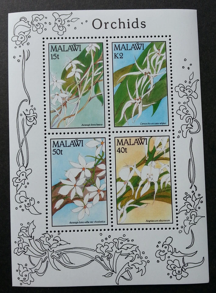 *ENVÍO GRATUITO Orquídeas Malawi 1990 Flor Flora Planta (hoja en miniatura) MNH Foto 1 de 4