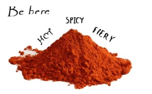 Äthiopische Berbere Bio 15oz - Bild 1 von 1