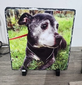 Custom Photo on Square Slate 20cmx20cm Image Picture Unique Personalised Gift - Picture 1 of 1