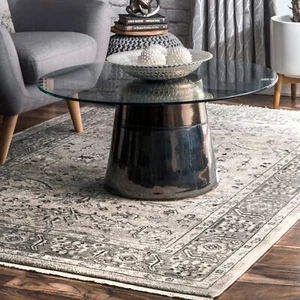 nuLOOM Rachel Vintage Fringe Area Rug in Beige Traditional Oriental Design - Picture 1 of 5