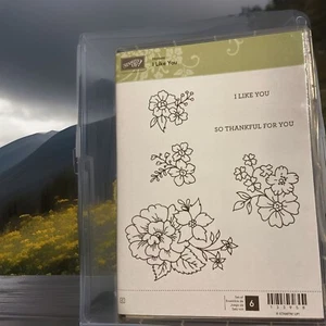 Juego de 6 estampillas Stampin' Up “I Like You” 133958, flores y versos - Imagen 1 de 4