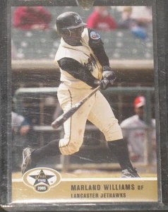 Marland Williams 2005 Just Stars Gold Encased Parallel Rookie #60 (12/100) DBack - Picture 1 of 2