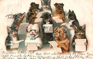 Dogs & Cats Singing from Pamphlet Vintage 1902 Postcard - Picture 1 of 2