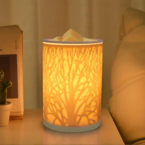 Ceramic Wax Melt Warmer,Candle Wax Warmer,2-In-1 Electric Wax Melter and Fragran - Picture 1 of 12