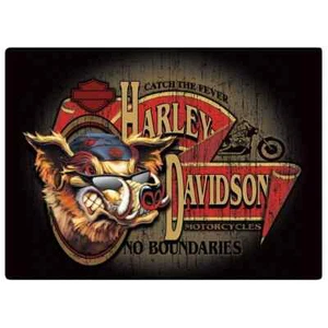 Harley Davidson Imán Elevado y Grabado Sin Límites Imán NUEVO - Imagen 1 de 1