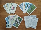 Imperial Publishing Full Repro Set 50 cards Player Aircraft of Royal Air Force
