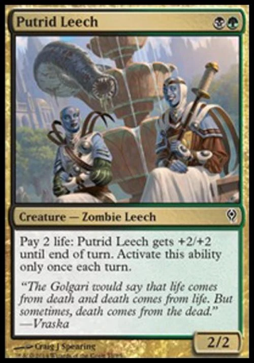 Putrid Leech - Light Play MTG Duel Decks: Jace vs Vraska - Image 1 of 1