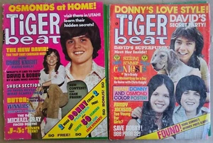 TWO 1972 Tiger Beat magazines - May, July, see description - Picture 1 of 18