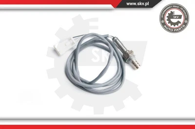 ESEN SKV Sonda Lambda Sonda Diagnosi per Citroën C5 I Peugeot 406 Break Dc 8E/F - Immagine 1 di 3