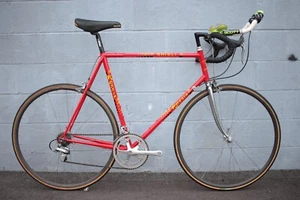 Rossin Ghibli 59cm 700C Columbus SLX 7 Speed Time Trial Aero Bike RARE GRIPSHIFT - Picture 1 of 24