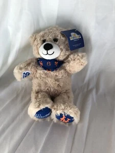 New NY Yankees New York Peluche Orso Peluche Animale 9 Costruisci un Orso BAB - Foto 1 di 7