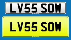 ❤ LOVES LV55 SOW LOVE PRIVATE REGISTRATION CHERISHED NUMBER PLATE FEES INCLUDED - Picture 1 of 4