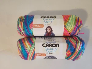 Pinturas suaves Caron Simply 2 hilos arco iris brillante #21009 - Imagen 1 de 6