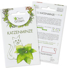 Owngrown Katzenminze Samen: Premium Katzenminze Saatgut Zur Anzucht Von Ca 1000