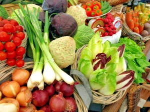 +1000 SEEDS-WINTER VEGETABLE PACK-15 PACKETS-EASY GROW-ASIAN VEGETABLE GARDEN - Picture 1 of 17