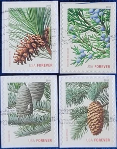 US Stamps 2010 Holiday Evergreens (Lg) Forever Set of 4 Used ON Paper #4478-81  - Picture 1 of 1