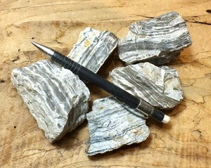 chert - chert con bandas, Formación Monterey, California. Unidad de 5 especímenes estudiantiles - Imagen 1 de 2