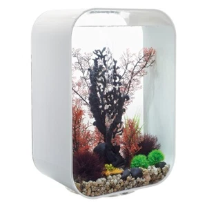 Oase biOrb LIFE 60 MCR weiß Dekoration Aquarium (EEK: F, Spektrum: A - G) - Bild 1 von 4
