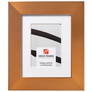 Craig Frames Bauhaus 200, 2 Inch Modern Stainless Brass Picture Frame With a Mat - Picture 1 of 9