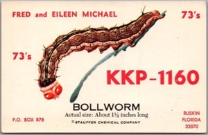 "Postal de radioaficionados Ruskin, Florida QSL BOLLWORM ""Stauffer Chemical Company" - Imagen 1 de 2